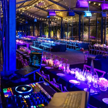 Wedding Reception Entertainment Package