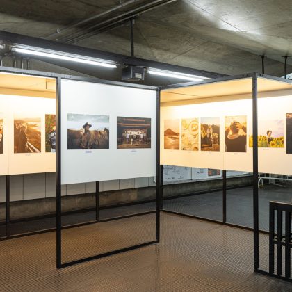 Exhibition Display Package